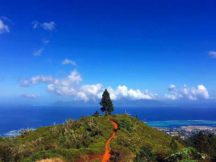 Vue sur Moorea depuis le sentier du Mont Mārau.jpeg