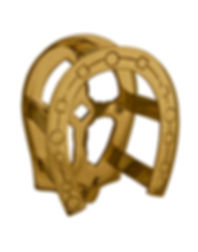 brass Horseshoe Bridle Bracket
