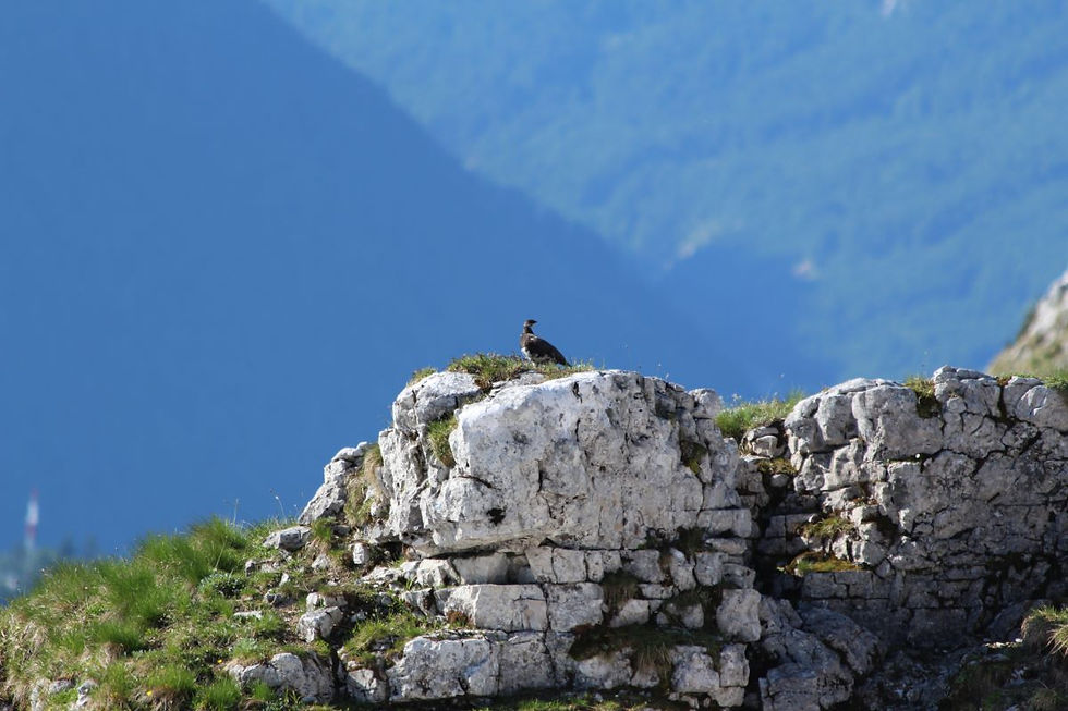 Loser, Altaussee, (c) Gerald Marl/Ferienwohnung Narzisse