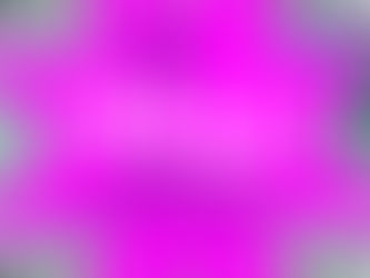 Willi Markt auf der Zloam