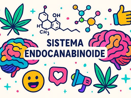 O Sistema Endocanabinoide: O Segredo do Seu Corpo Que Você Não Sabia Que Existia! 🧠✨