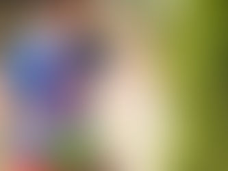 A caccia di uova con SPORTiN🐣