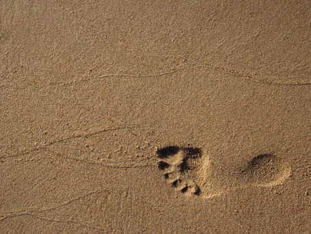 Manuscript vs Myth: Feet of Clay