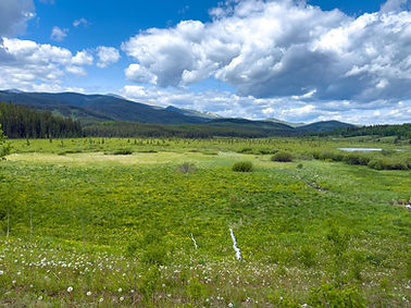 Meadow view at Hare Loop