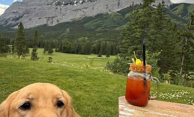 Skoki on the dog friendly patio at the Summit Restaurant. Mount Kidd behind us and a Caesar on the table
