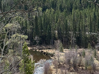 Bragg Creek view along Snowshoe Hare & Telephone Loop