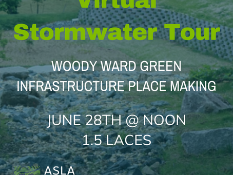 Woody Ward Green Infrastructure Place Making Webinar (Stormwater Tour)