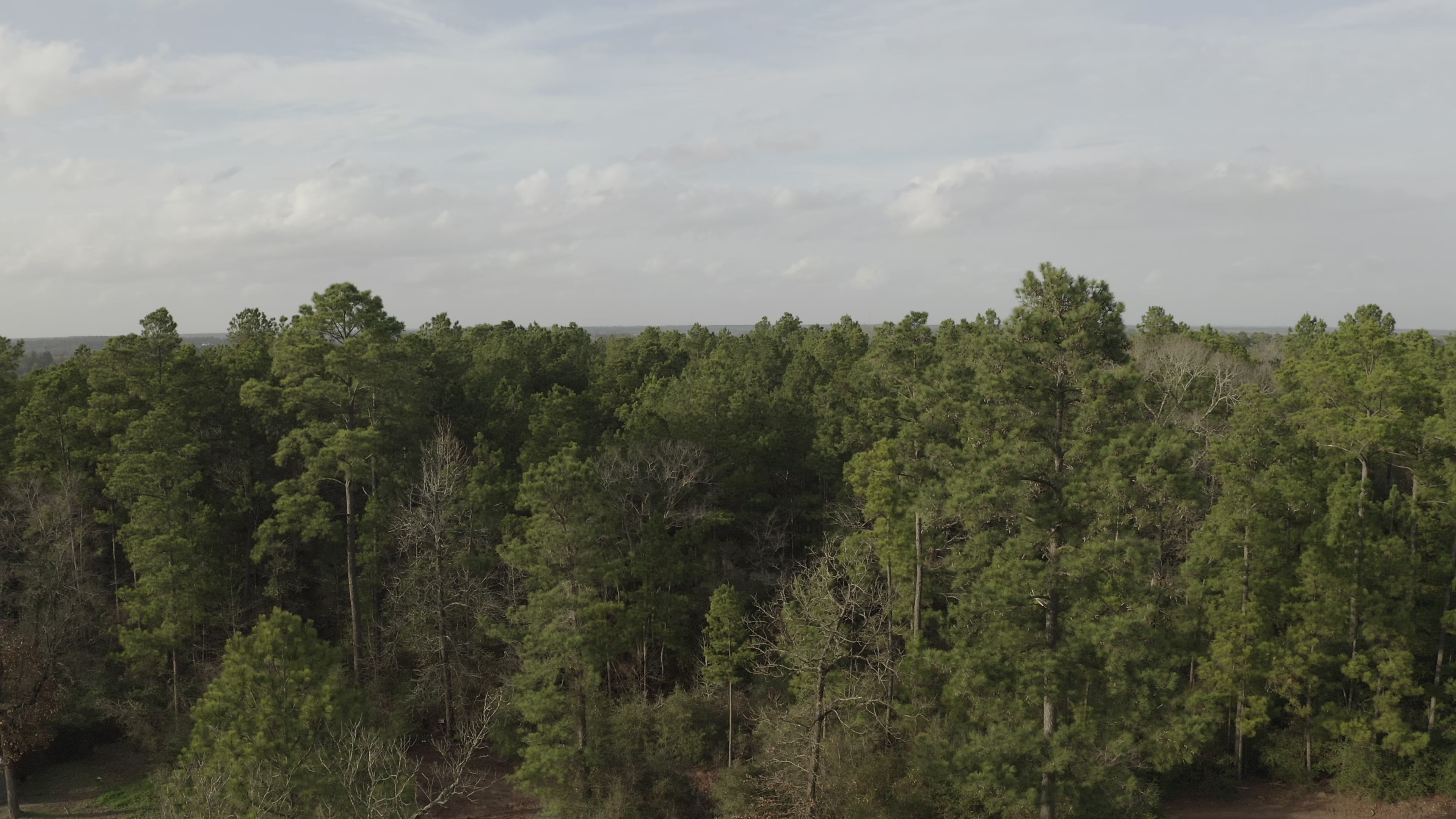 General Sam's Offroad Park photo 2