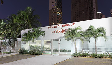HONCORD 33.JPG