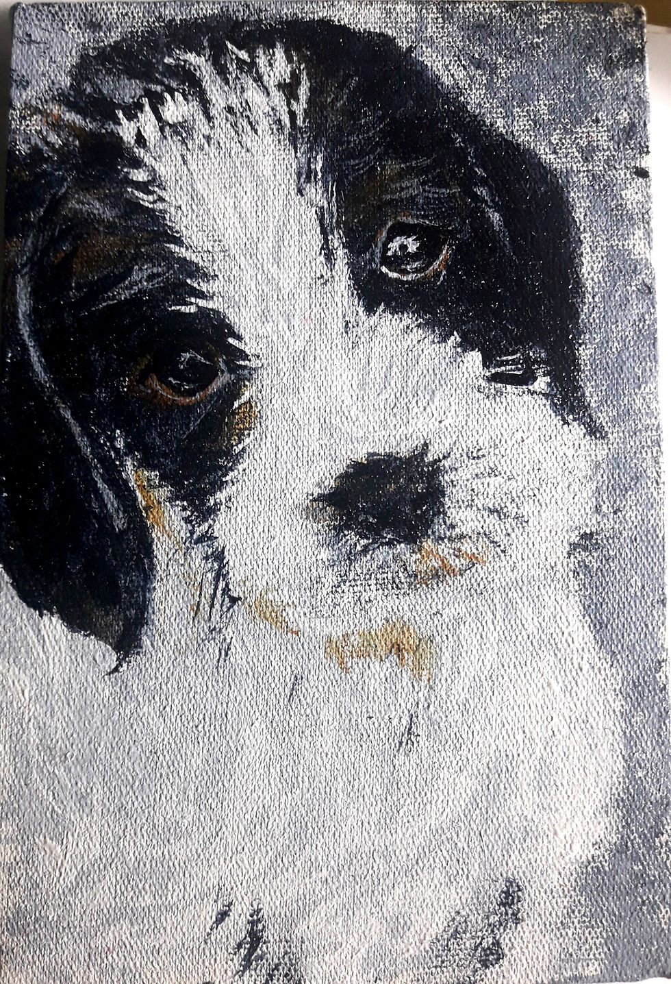 Puppie
