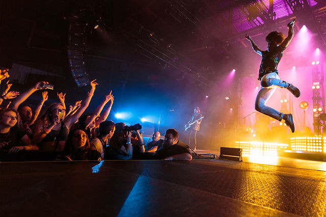 Cage The Elephant