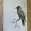 Miniature : Le corbeau