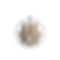 logoelement.png