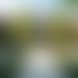 Showcasing Successful Commercial Projects by Envor Construction