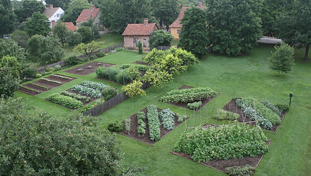 Old Salem - Miksch Garden 1.JPG