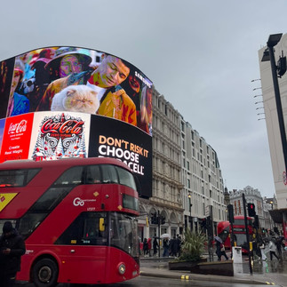 red bus in busy street with ran