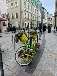 bicycle with flowers