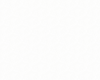 Bloemenpatroon_edited.png