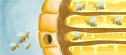 8 Bees
