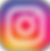 InstagramIcon.png
