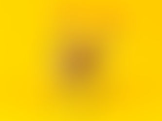 Le bitcoin est-il en voie de banalisation ?