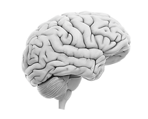 5A0998B0-1C4E-4206-99A8-F930FF55E020_edited.png