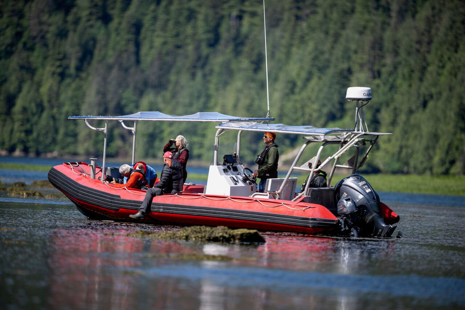 Bear watching tours in BC