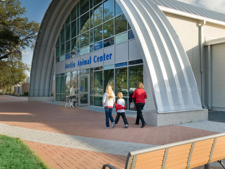 How to Increase Building Flexibility Within an Animal Shelter