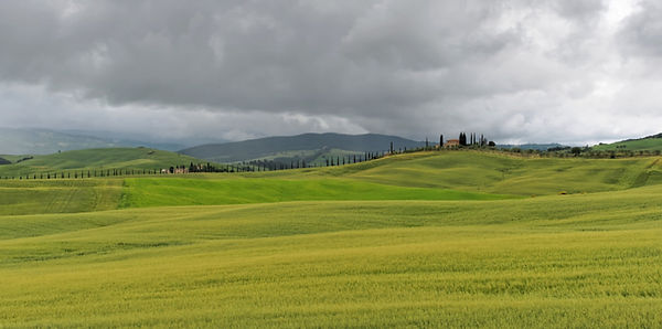 P5230122_DxO PS_DxOBilinéaire.jpg