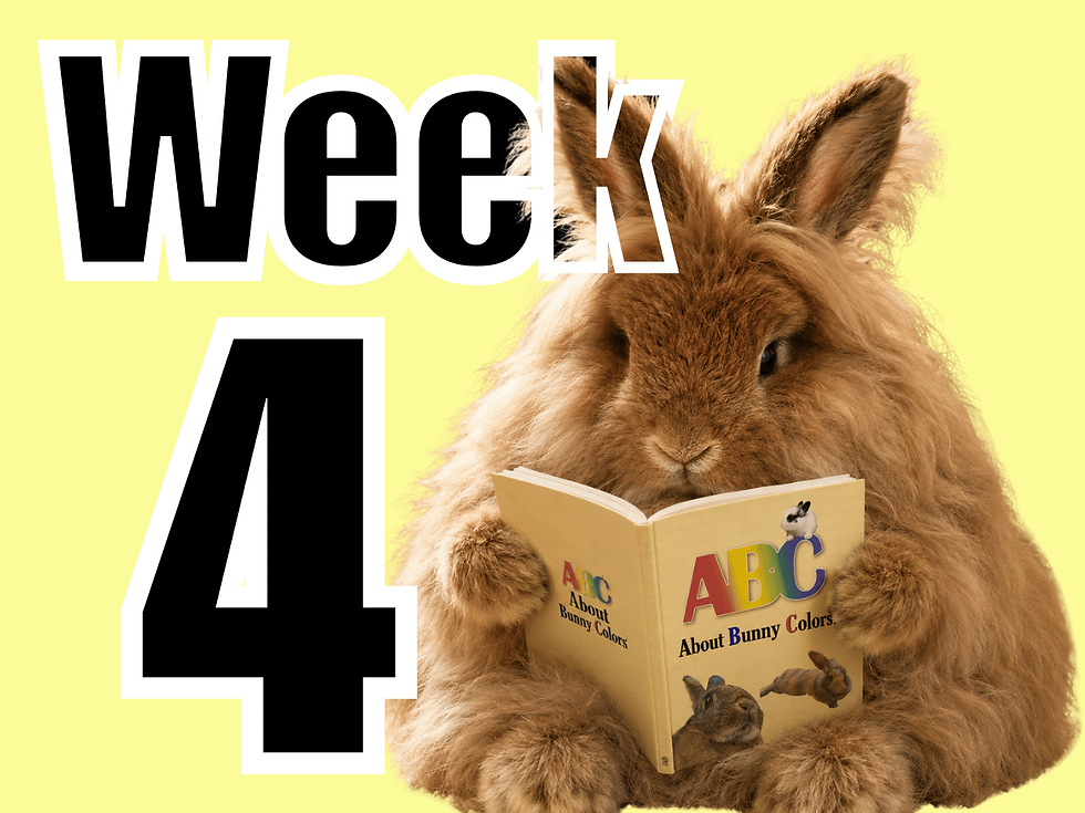 Rabbit Color Genetics Cohort - Fall 2026