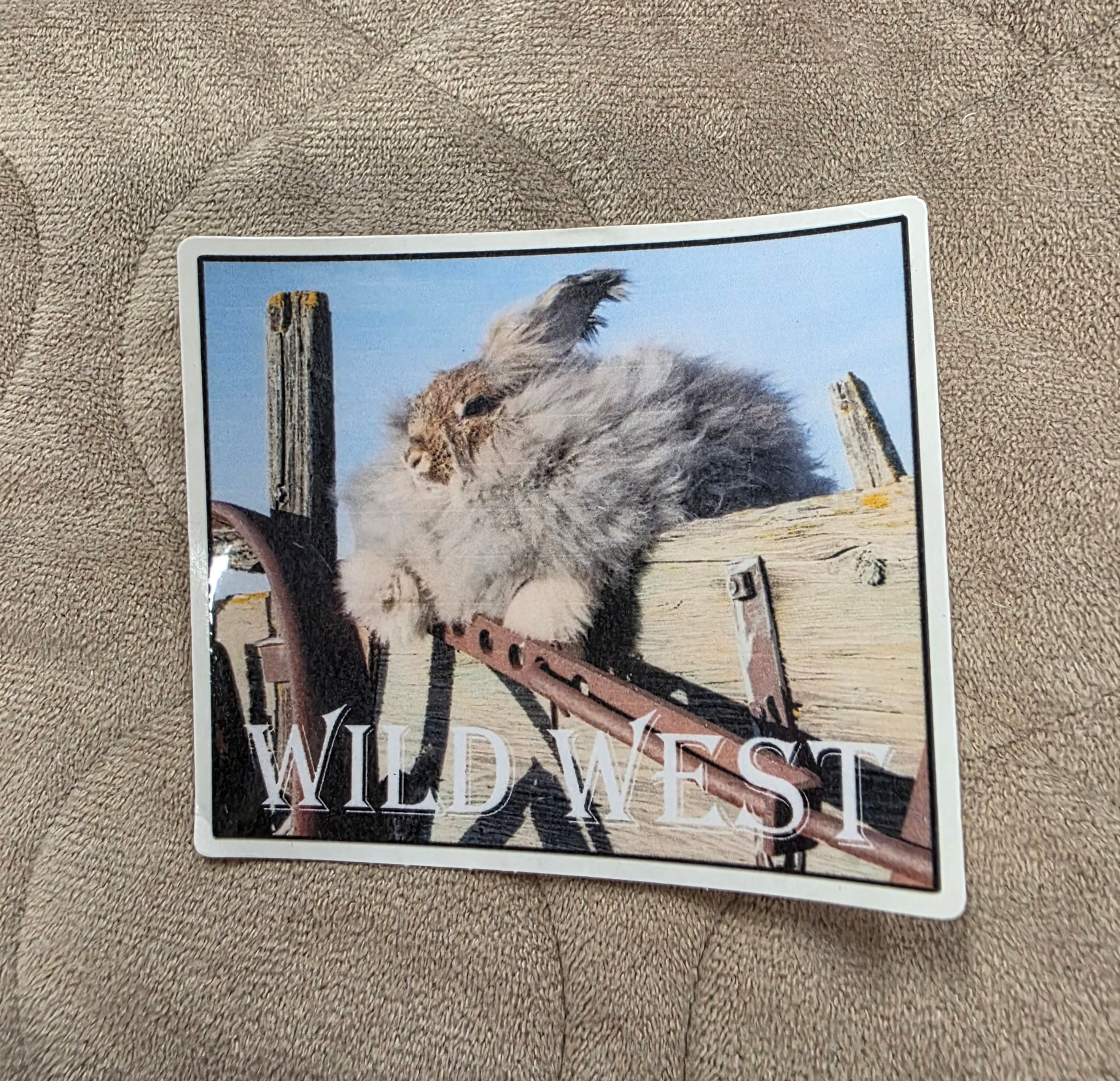 Wild West Rabbit Sticker 🐰🤠