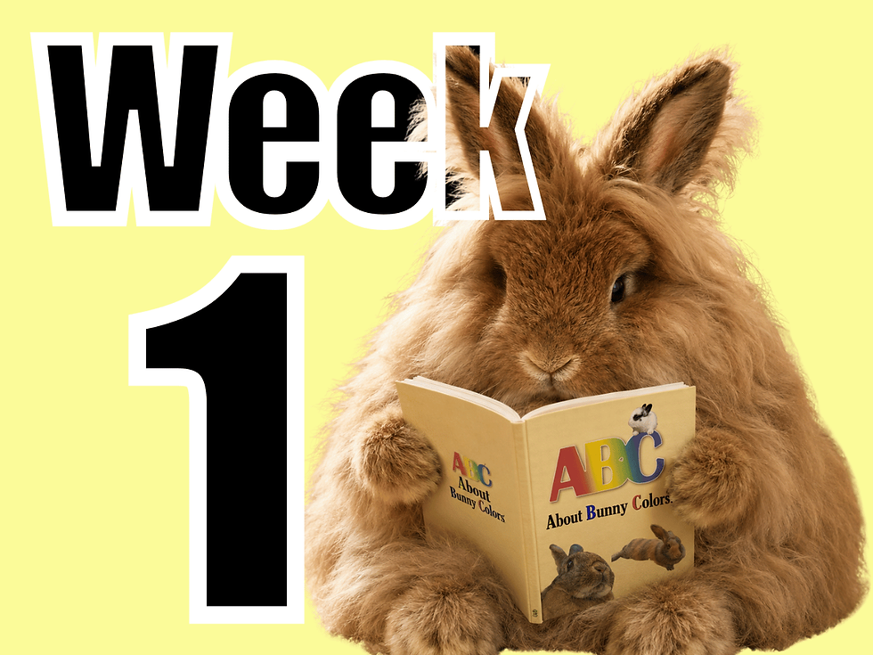 Rabbit Color Genetics Cohort - Fall 2026