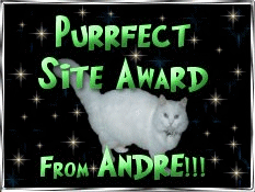 Perfect site award cat
