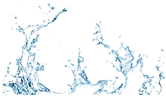 image_6483441 (32)_edited.png