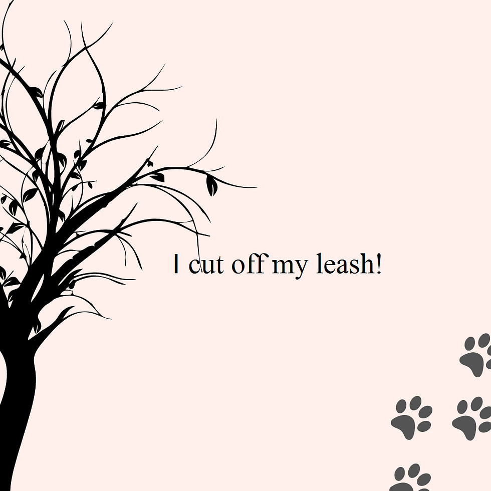 I cut off my leash! Hair and feminity; ft. the story of 'The cheerful dog' and 'my 2021 look'