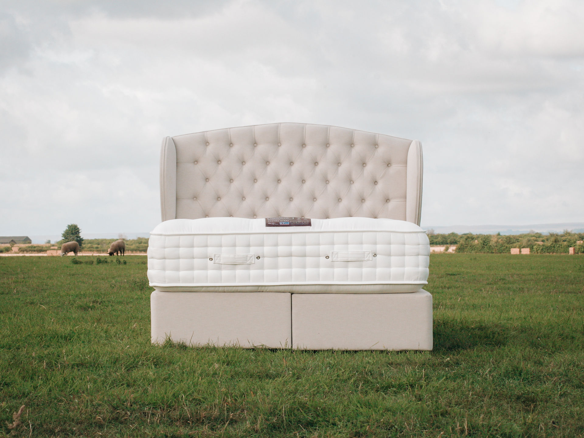 bed and mattress in field