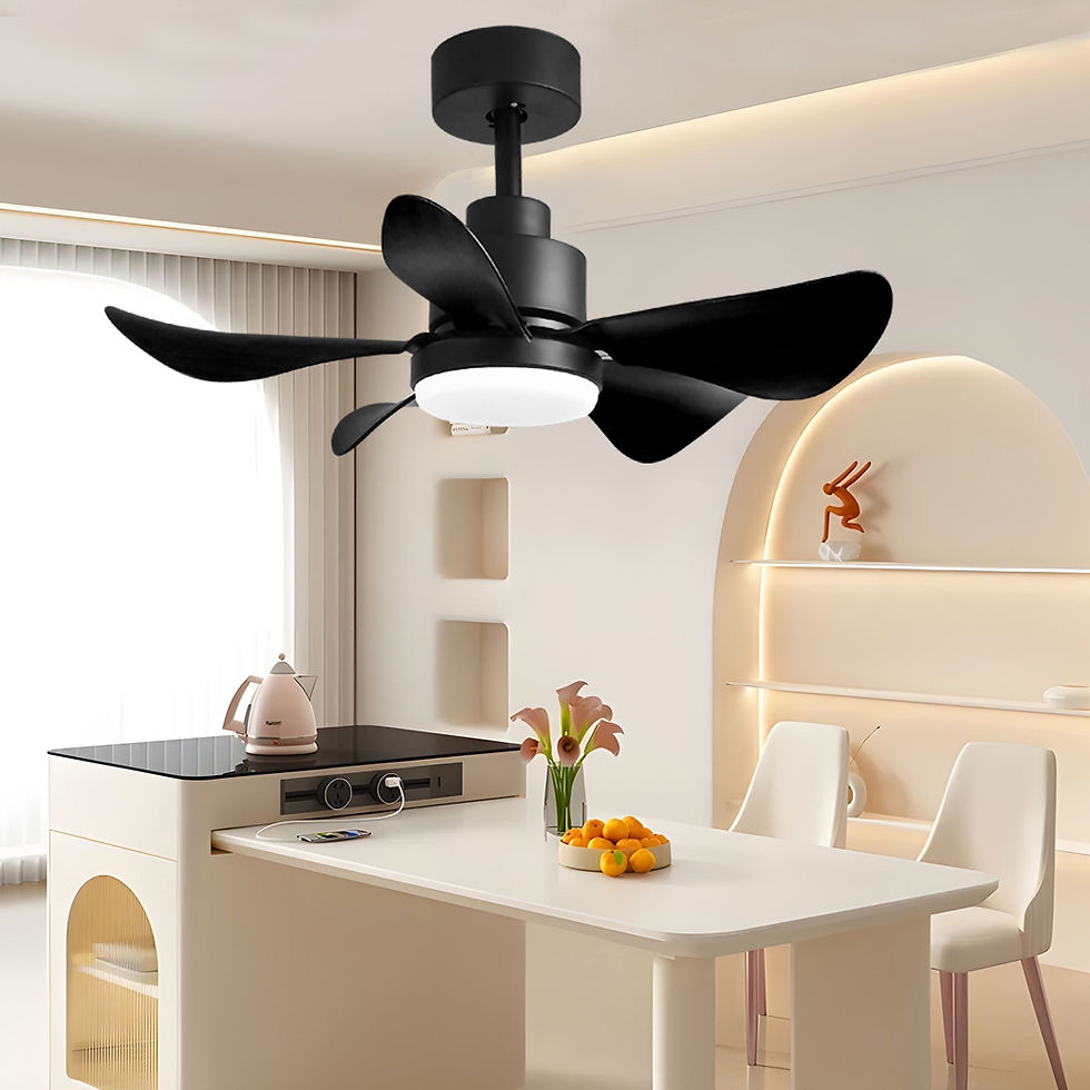 Thumbnail: Ceiling Fans With Lights And Remote/App Control, Low Profile Ceiling Fans With 5