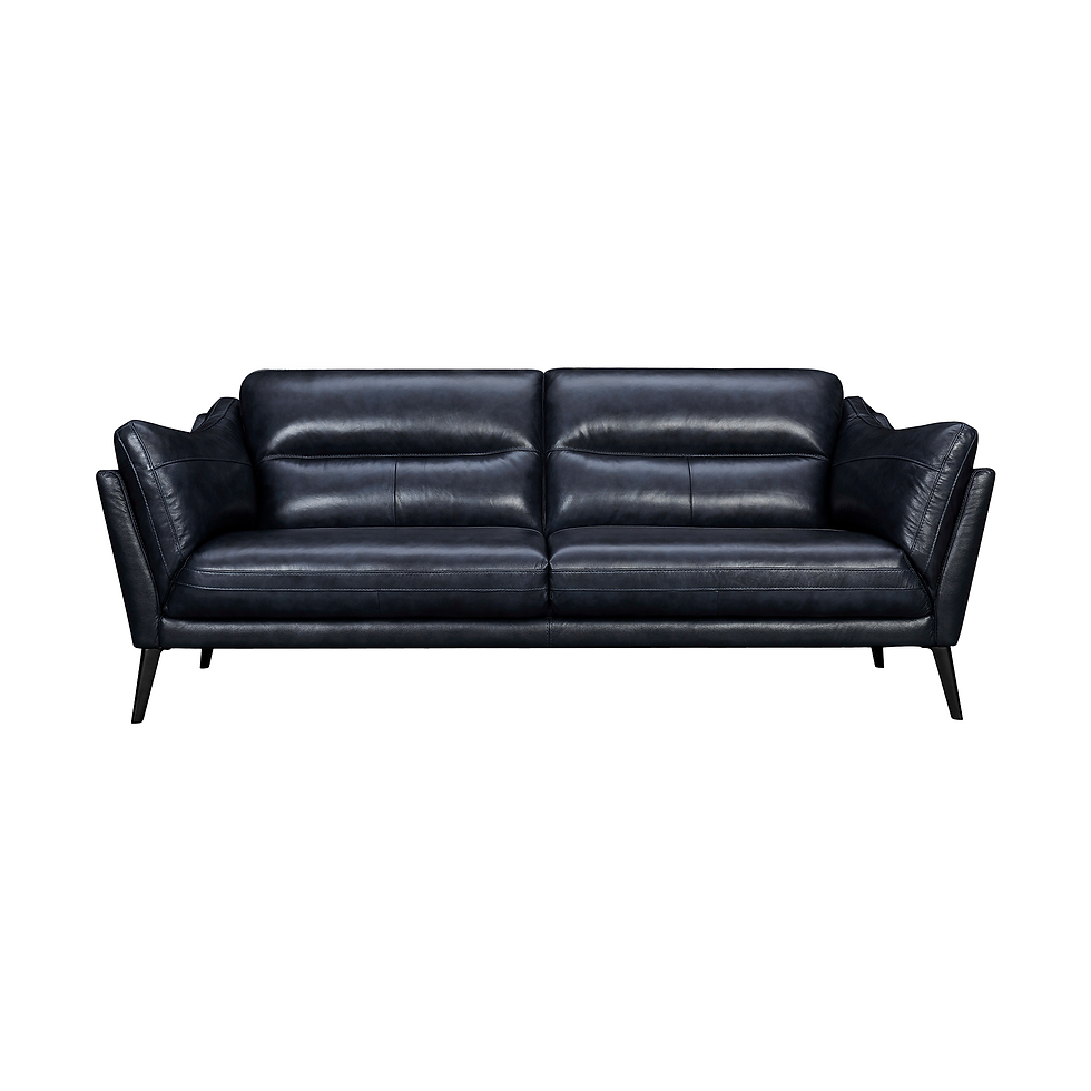 Franz - Modern Sofa