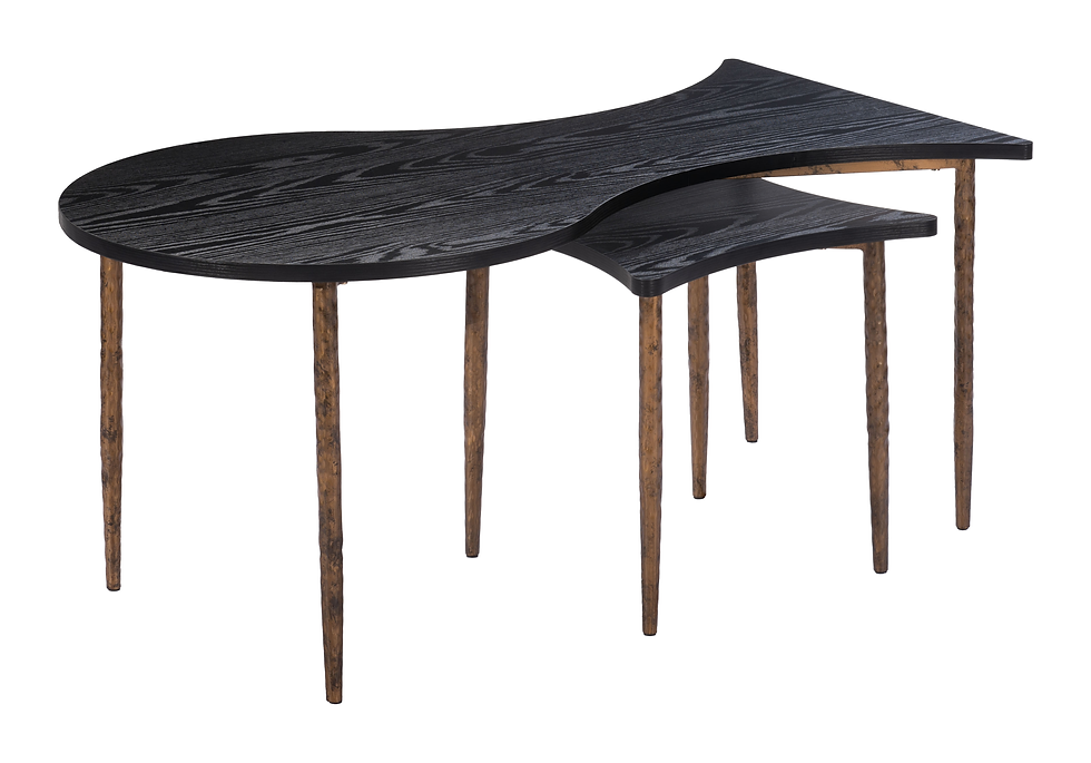 Norden - Coffee Table Set - Black & Bronze