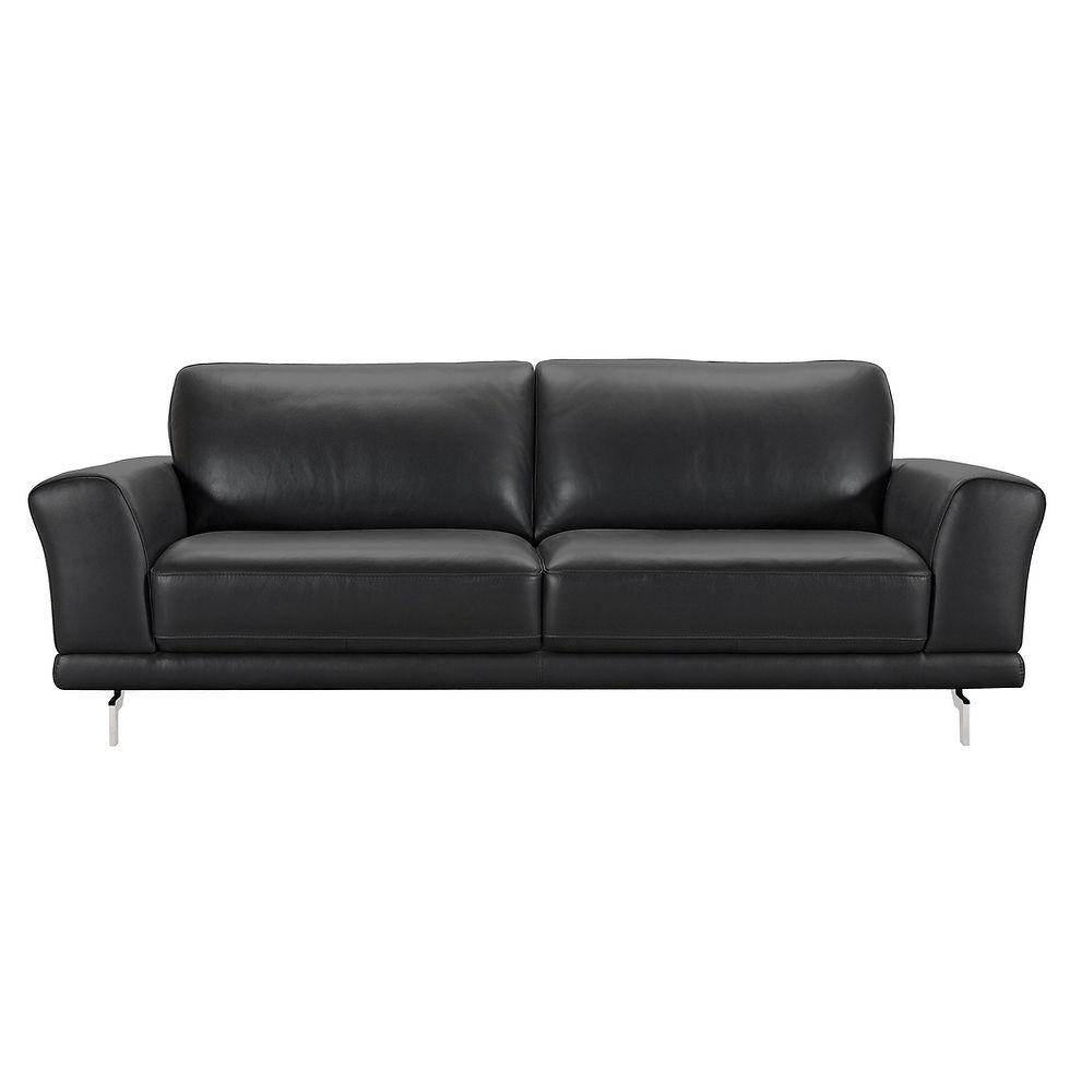 Everly - Contemporary Sofa - Genuine Black Leather With Brushed Stainless Stee