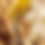 Thumbnail: Oud al Semo