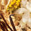 Thumbnail: Oud al Semo