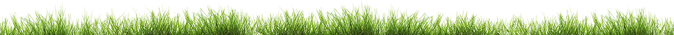 grass.png