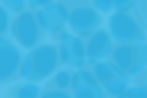 Otter circular bg.jpg