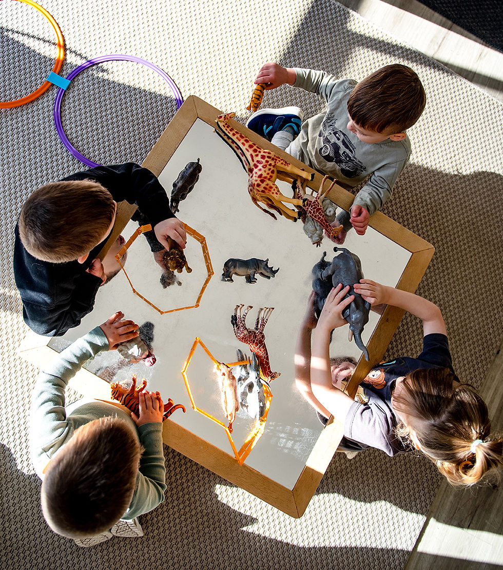 Children using animal toys for imaginative group play at an early learning centre classroom