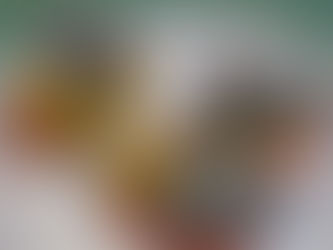 Оголошення : Майстер-клас з ліплення казкових тваринок - Реєстрація