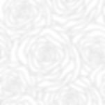 BACKGROUND_edited.jpg