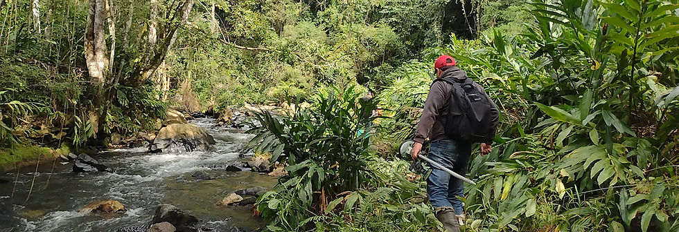Serviços de topografia