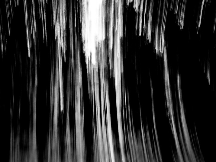 black and white picture of wood