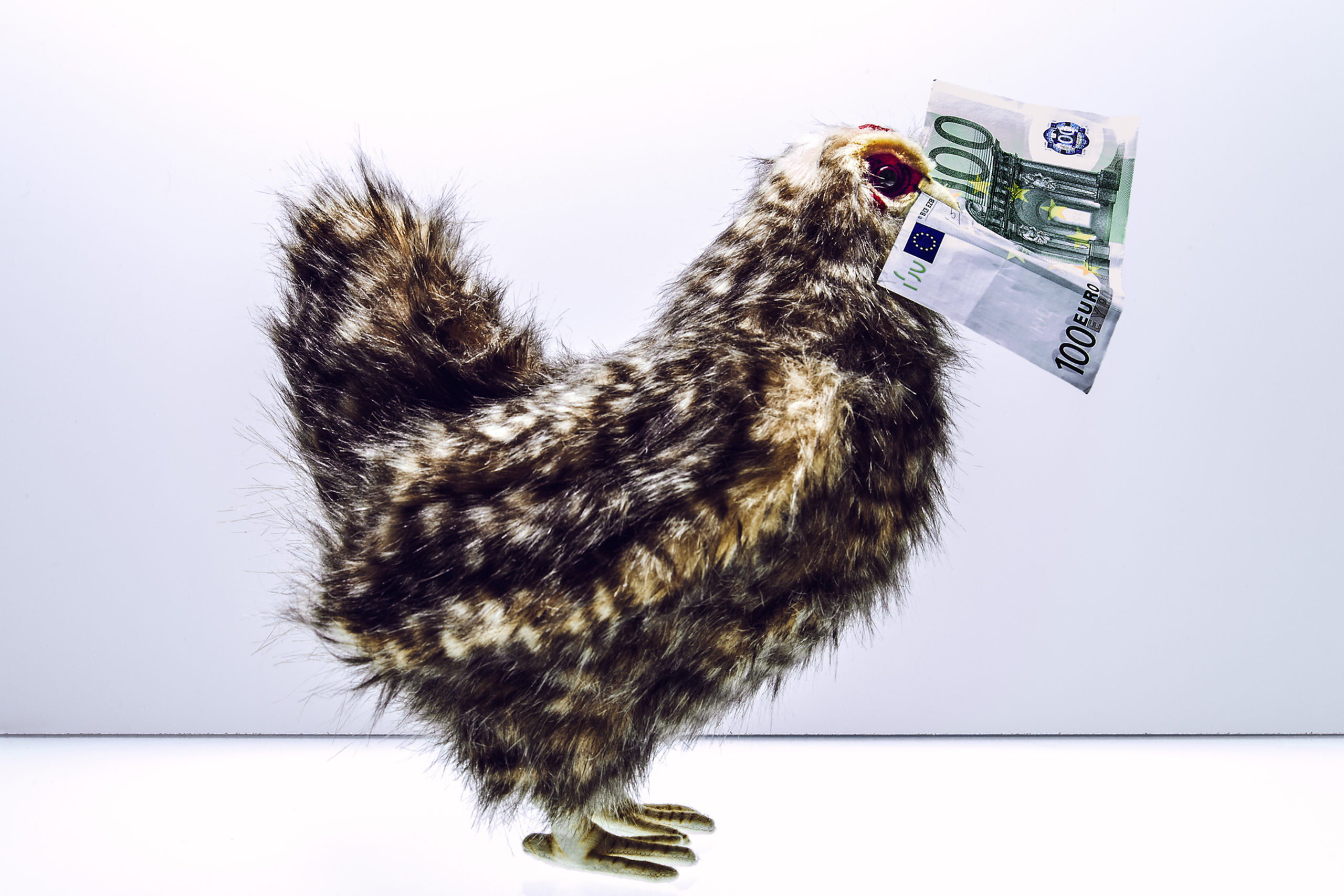 artwork showing chicken, european money in mouth